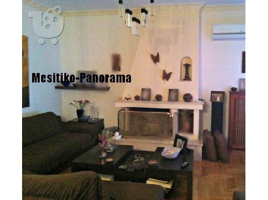 εξαιρετικο οροφοδιαμερισμα ρετιρε